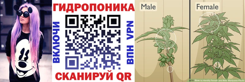 Бошки Шишки White Widow  наркота  Ярославль 